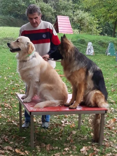 Baudet Rémy - éducateur canin à Roche-la-Molière