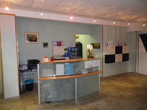 Dentiste Dimier Françoise à Roche-la-Molière