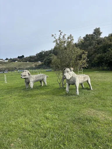 Doggy Parc 42 à Roche-la-Molière