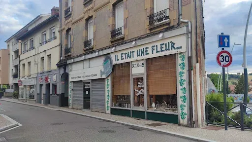 Il Etait une Fleur à Roche-la-Molière