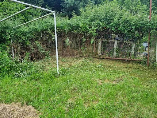 JN Elagage à Roche-la-Molière