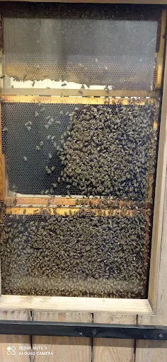 Miellerie des Gorges de la Loire à Roche-la-Molière